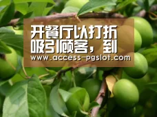 开餐厅以打折吸引顾客,到最后只能关门倒闭!_PG电子游戏(图4) pg电子官方入口