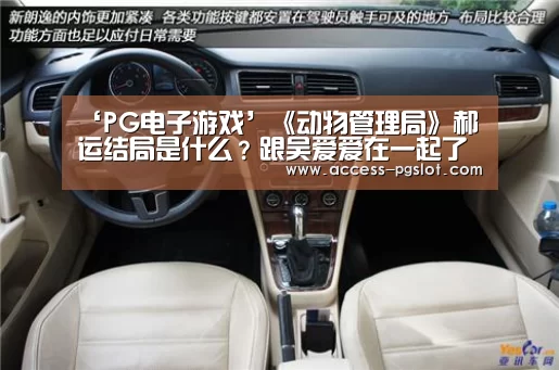 pg电子官方入口