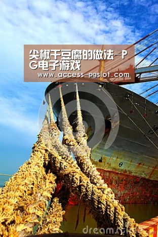 尖椒干豆腐的做法-PG电子游戏(图3) PG电子中国