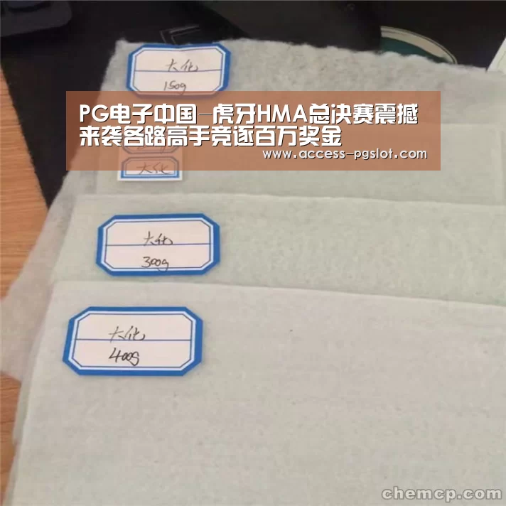PG电子中国-虎牙HMA总决赛震撼来袭各路高手竞逐百万奖金(图2) pg电子官方入口