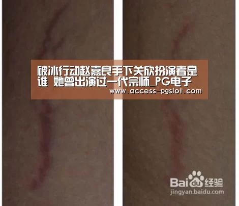 破冰行动赵嘉良手下关欣扮演者是谁 她曾出演过一代宗师_PG电子中国(图3) pg电子官方入口