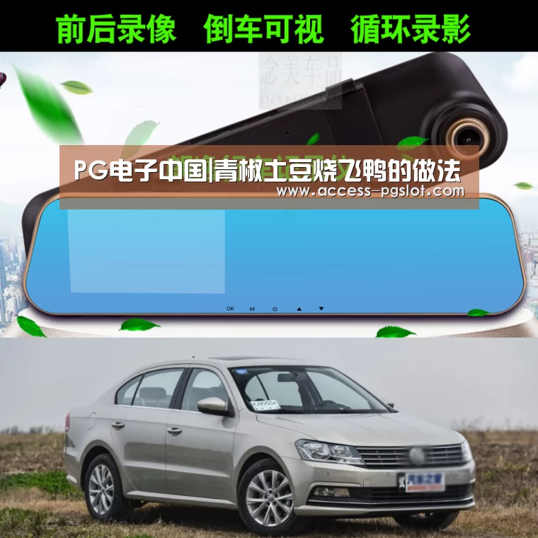 PG电子中国|青椒土豆烧飞鸭的做法(图1) PG电子游戏
