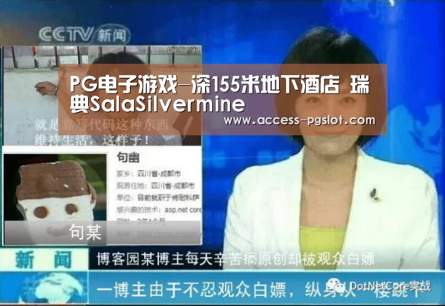 pg模拟器