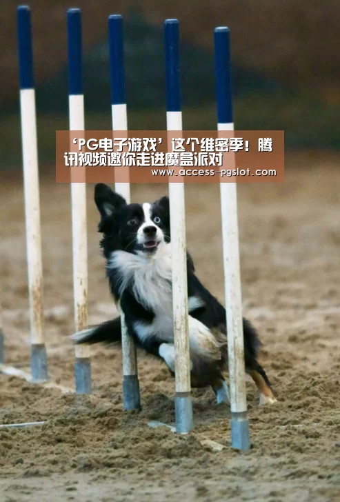 PG电子游戏
