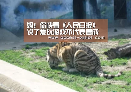 妈!你快看《人民日报》说了爱玩游戏不代表着成瘾!【PG电子游戏】(图1) PG电子游戏