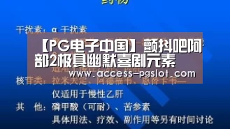 pg模拟器