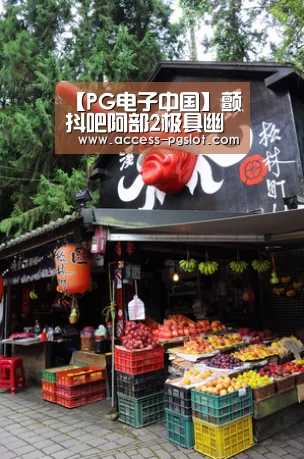 PG电子游戏