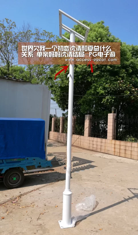 世界欠我一个初恋沈清和夏总什么关系 单亲妈妈沈清结局-PG电子游戏(图1) pg电子官方入口