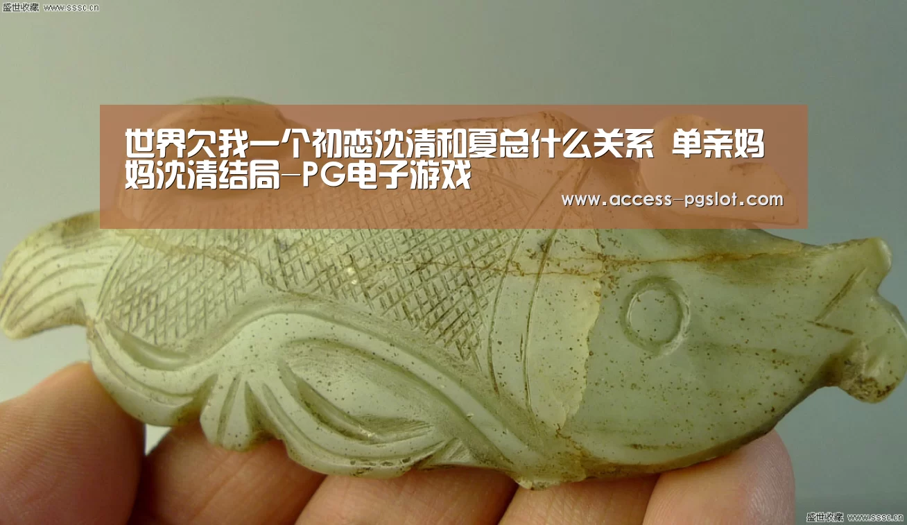 世界欠我一个初恋沈清和夏总什么关系 单亲妈妈沈清结局-PG电子游戏(图2) pg电子官方入口