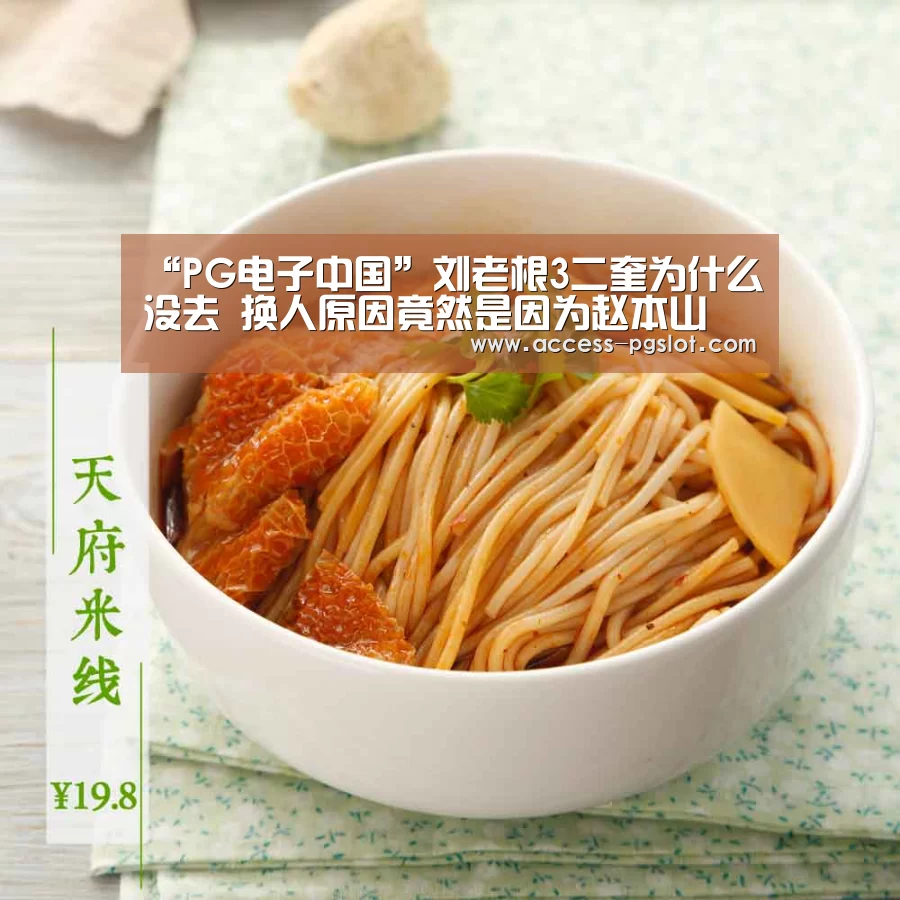 pg电子官方入口