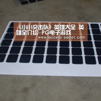 pg模拟器